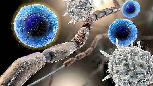 巨噬细胞Cytokine 3D 插图的中年释放白色因子细菌吞噬细胞医疗癌症卫生白细胞微生物学生物学背景