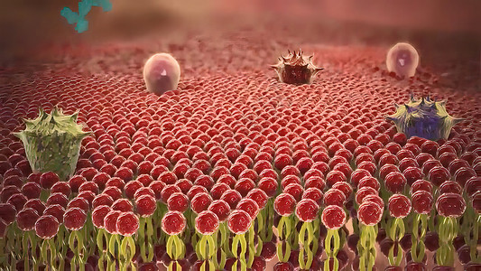 感染血液和人体循环系统的covid19病毒细胞微生物学免疫学宏观身体显微镜疾病分子科学免疫治疗背景图片