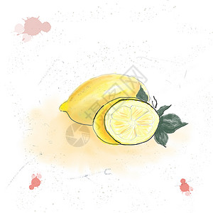水彩柠檬组合Watecolor 背景新鲜柠檬绿叶 您设计的的食物元素饮食早餐艺术草图收成水彩叶子水果植物绘画背景