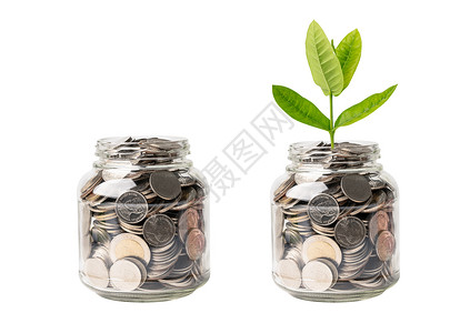 树胚叶上存钱硬币 商业金融储蓄银行投资理念玻璃现金市场生长兴趣银行业库存退休植物经济背景