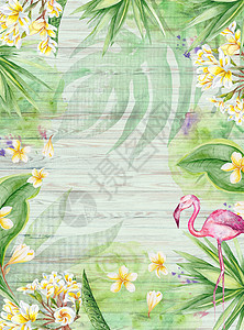 水彩植物模版热带热带鲜树木材纸板模版Name风格插图艺术火烈鸟假期桌子旅行天堂卡片装饰背景
