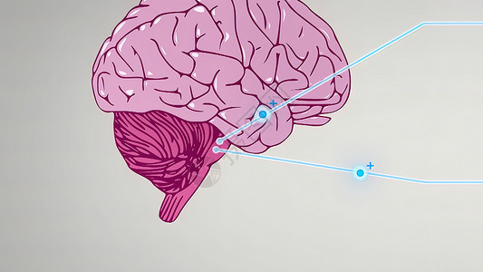 缩唇呼吸三维插图 3D 说明部分脑电图 负责自治的全息保持男人蓝色呕吐身体医生稳态垂体髓质中枢神经药品背景