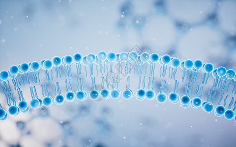 磷脂双分子层蓝色背景的细胞膜 3D介质细胞质质膜药品生活微生物学宏观渲染骨架作用生物背景