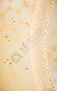 磷脂双分子层黄色背景的细胞膜 3D介质骨架渗透渲染生物学作用微生物学质膜科学生物细胞背景