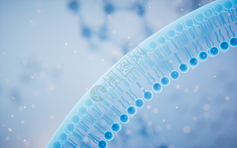 磷脂双分子层蓝色背景的细胞膜 3D介质技术药品渗透细胞质质膜队列细胞生物原子科学背景
