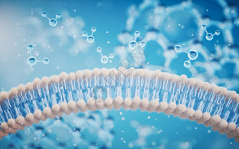 脂质双分子层蓝色背景的细胞膜 3D介质真皮吸收生物皮肤微生物学修理洗剂技术渲染生物学背景