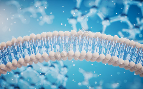 磷脂双分子层蓝色背景的细胞膜 3D介质细胞微生物学渲染药品原子渗透骨架宏观运输化学背景