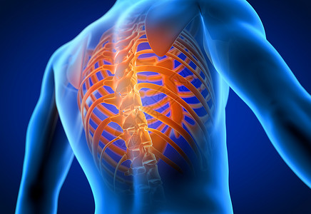 背部骨骼3d在医学上准确无误地说明一个男人背部疼痛事故药品生物学身体保健扫描健康解剖学脊柱男性背景