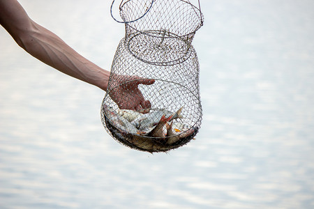 捕鱼 鱼钩钓鱼 选择性重点自然池塘支撑男性淡水日落闲暇渔民齿轮晴天图片