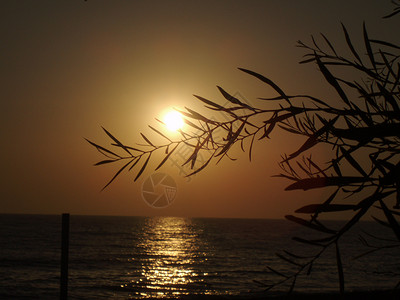 海面上美丽的日落天空蓝色反射地平线火鸡太阳橙子波浪海浪海岸图片