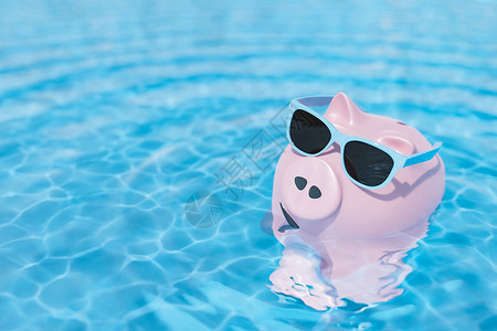 游泳猪有太阳眼镜的猪银行在游泳池游泳背景