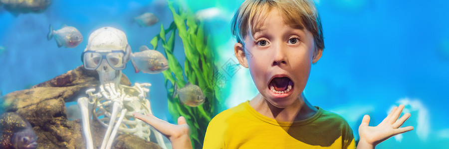 男孩在水族馆银行里吓到了斯凯雷顿和皮拉哈图片