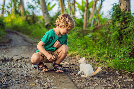小男孩和猫小男孩和小猫咪在外面玩耍宠物日落婴儿毛皮孩子们喜悦生活孩子小猫童年背景