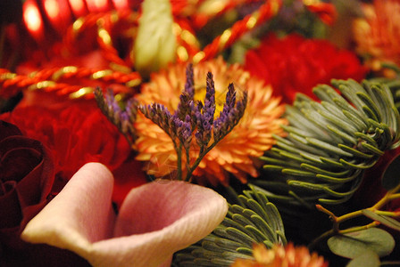 从不同的花朵和植物分支中收集了明亮的花束作品白色黄色分支机构紫色橙子绿色红色粉色背景图片
