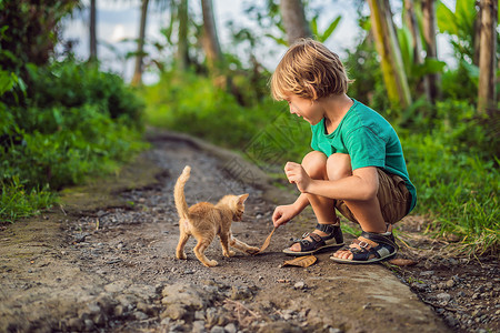 小男孩和猫小男孩和小猫咪在外面玩耍公园草地孩子微笑婴儿童年情感友谊金发宠物背景