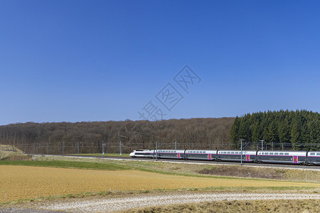 阿尔斯阿尔斯北法国最快的火车TGV背景