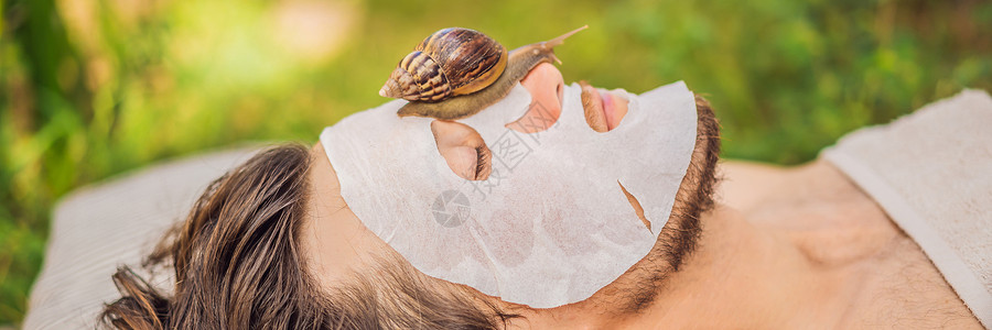 蜗牛头美丽腹足动物高清图片