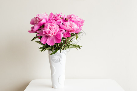 孔雀牡丹图白花瓶中的粉红小孔雀 在中性背景的桌上背景
