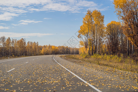 惊人的道路没有人早晨高清图片