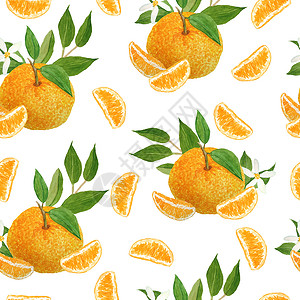 橘子水彩水彩手绘制了明亮的橙子橘子红番茄柑橘水果和生机勃勃的绿叶花 作为食品有机素标签 包装 自然设计潮流等无缝图解饮食柑桔插图绘画情调背景