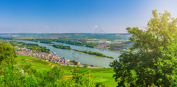 德森霍莱茵河峡谷或上中莱茵河谷酿酒区环境农村葡萄园旅行地区农业全景场地天际风景背景