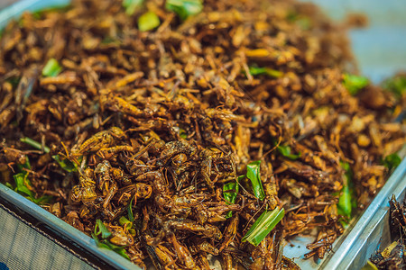 在泰国普吉街小街市场行走的炒虫热带蛆虫小吃蛴螬美食漏洞盘子油炸异国情调背景