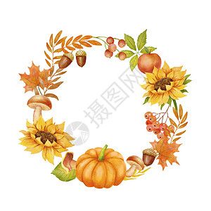 枫叶花圈秋天水彩花圈 有向日葵 南瓜 蘑菇和橡树 秋季图解白色背景背景