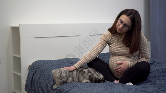 孕猫怀着眼镜的年轻孕妇在摸一只猫 一个和英国猫睡在卧室里的女孩 在床上保健母亲动物福利孕肚头发宠物爪子家庭孩子背景