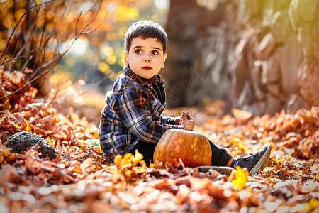 坐在南瓜旁边的秋叶子边上的白种男孩 3-4 Y o背景图片