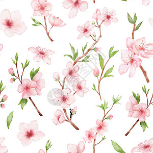 梦幻水彩素材白后草原上的红色无缝图案 日本鲜花 粉红色本底的花朵背景