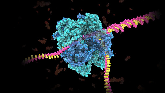 将DNA双螺旋的两条线分离开来的酶 基因二极螺旋生物信号科学治愈药品蓝色技术染色体旋转细胞背景图片