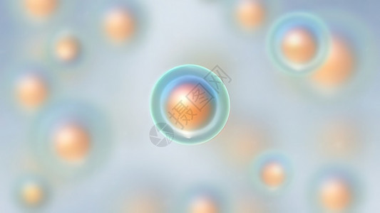 细胞分裂 细胞分解和乘法的过程 掌声细胞质皮肤泡沫胶原间期倍体女儿生物方案实验室背景