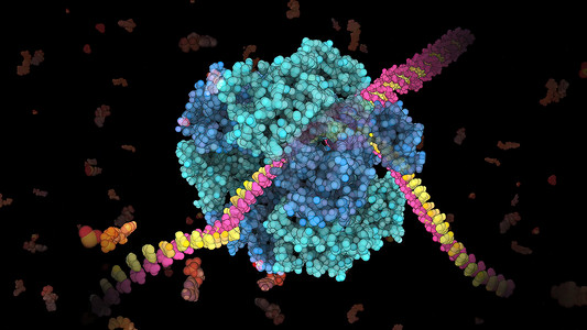 将DNA双螺旋的两条线分离开来的酶 基因二极螺旋科学信号染色体技术蓝色治愈物理微生物学纺纱海浪背景图片