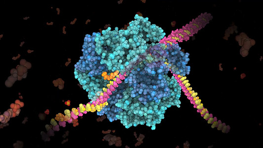 将DNA双螺旋的两条线分离开来的酶 基因二极螺旋科学蓝色海浪技术基因组人工智能化学药品信号治愈背景图片