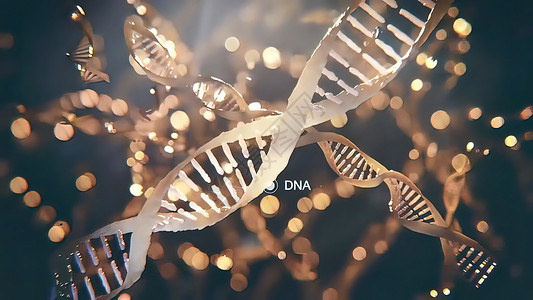 DNA序列视图 3D医疗染色体遗传学科学生物学光线辉光细绳螺旋克隆射线背景图片
