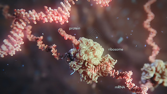 学生物为治疗遗传疾病而开发的方法 Gene疗养院基因物质编辑代谢药品生物学聚合物细菌酵素科学背景