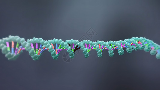 诱导或抑制基因表达的机制卫生特异性药店生物化学翻译配体药理顺序总站图片