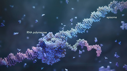 代谢组学为治疗遗传疾病而开发的方法 Gene疗养院多肽生物学基因组药品生物细菌基因编辑代谢科学背景