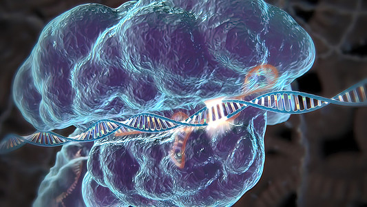诱导或抑制基因表达的机制生物物质总站卫生残渣配体生物学药品基因组化学背景图片