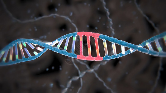 诱导或抑制基因表达的机制配体酵素翻译药理物质科学化学总站卫生基因组背景图片
