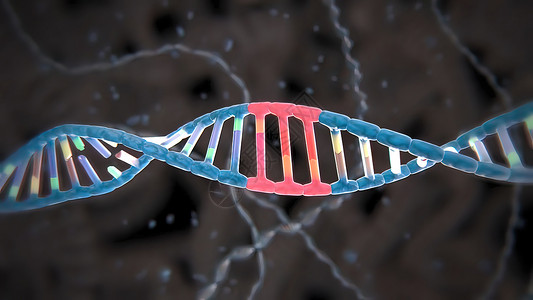 代谢组学诱导或抑制基因表达的机制配体酵素翻译药理物质科学化学总站卫生基因组背景