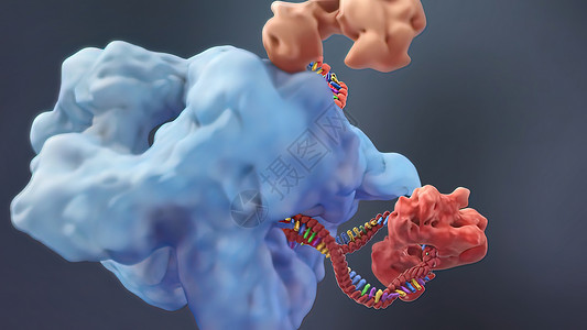 诱导或抑制基因表达的机制基因组酵素药品翻译生物制药科学药店保健物质背景图片