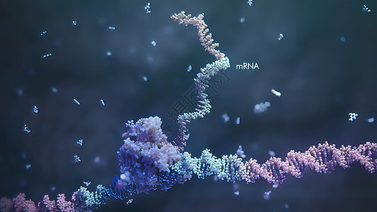 代谢组学孤立链球菌高清图片