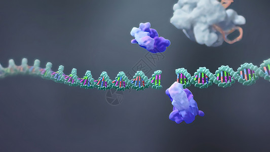 机制生物技术科学的高清图片