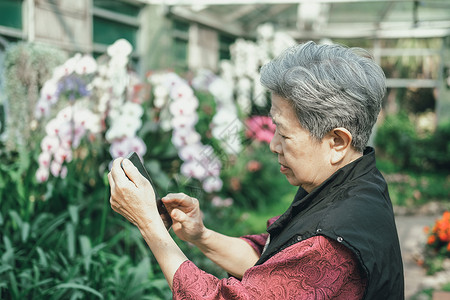 老妇人在花园里拍花 老年女性在户外放松 高级休闲生活方式退休成人公园照片灰色电话长老衣服手机闲暇背景