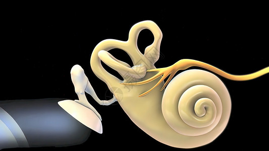 鼓膜3D 人耳解剖系统冲动耳蜗耳朵听力声波噪声运河模拟神经生理背景