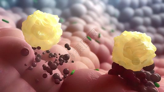 吞噬作用内存T细胞摧毁被感染的细胞单细胞分子抗原癌症宏观免疫学作用微生物学免疫系统显微镜背景