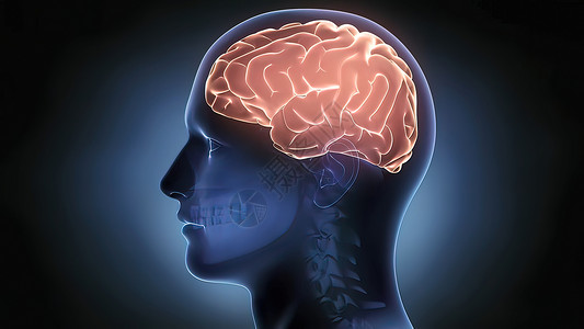 神经性皮炎黑背景上的脑- 脑半球背景
