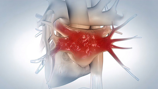 下腔静脉心脏衰竭中左心部的中心作用一部分药品动画光泽度科学心脏病学身体心血管学习主动脉背景