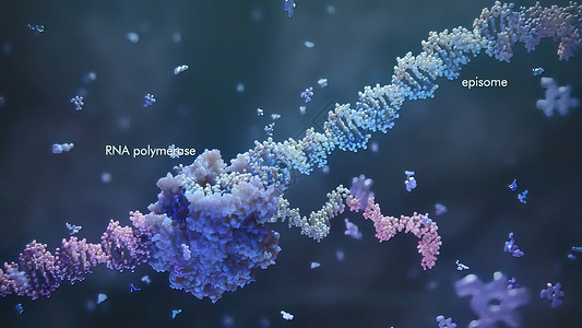 高分子3d 表示单一直线肋膜酸的示例 RNA 研究和治疗基因组健康遗传感染酵素屏幕工程科学实验室核苷酸背景